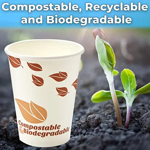 12 Oz White/Multi Eco Friendly Coffee Cup Sets Avant Grub