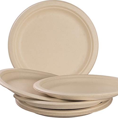 Brown Kraft Biodegradable Plates - 10" - 25 Pack